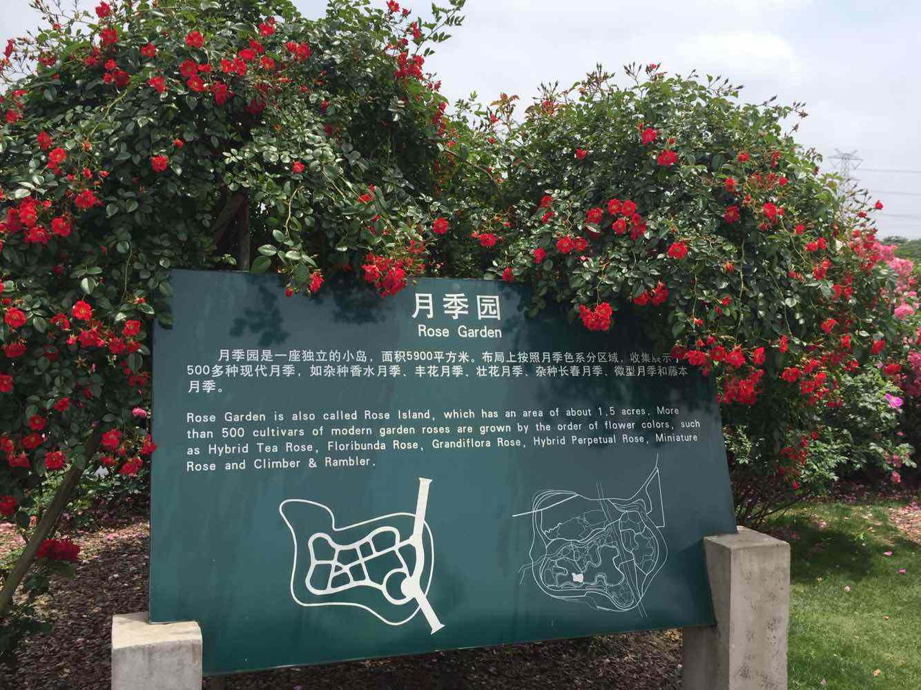 Shanghai_Chenshan_Botanical_Gardens_5.jpg