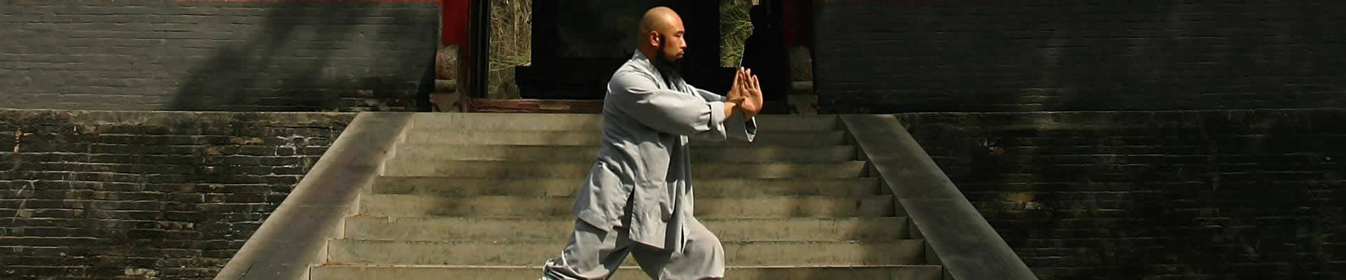 Covers Many World Heritage Cultural Sites in the North China like Great Wall, Terracotta Warriors, Longmen Grottoes with special visit to the birthplaces of the principal forms of the Chinese Martial Arts.