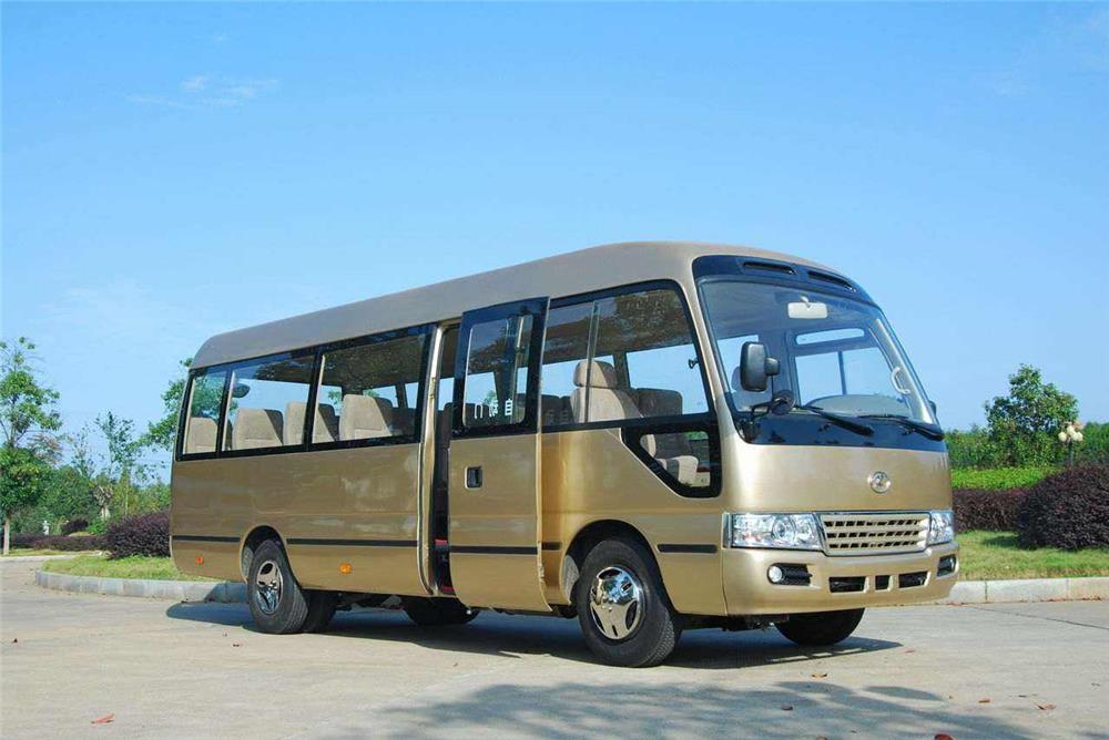 Toyota Coaster (or Similar), 22 seats