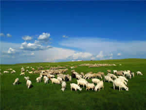 4-Day Beijing Inner Mongolia Classic Tour