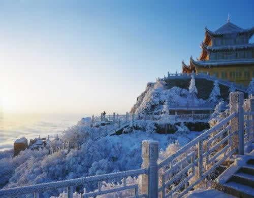 7 Days Leshan & Mt. Emei Tour From Shanghai