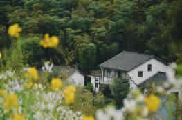  All-Inclusive Day Trip: Driving from Shanghai to Moganshan Adventure