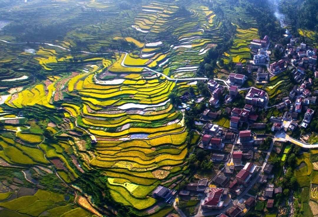 Lishui Tour from Shanghai | Train Tickets & Cultural Experience