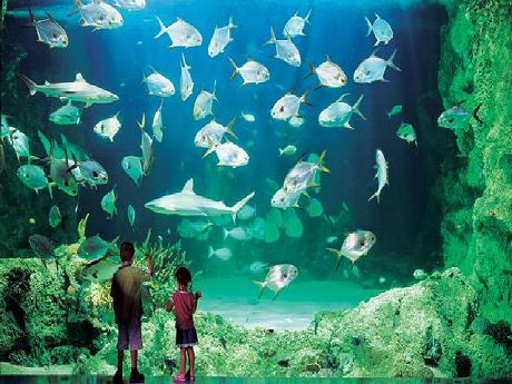 Shanghai_Ocean_Aquarium_05.jpg
