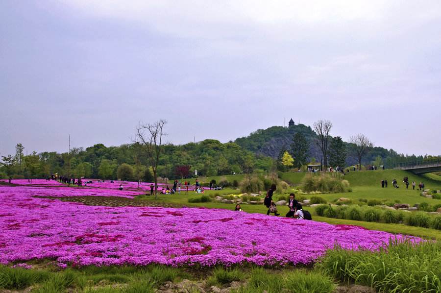 Shanghai_Chenshan_Botanical_Gardens_1.jpg