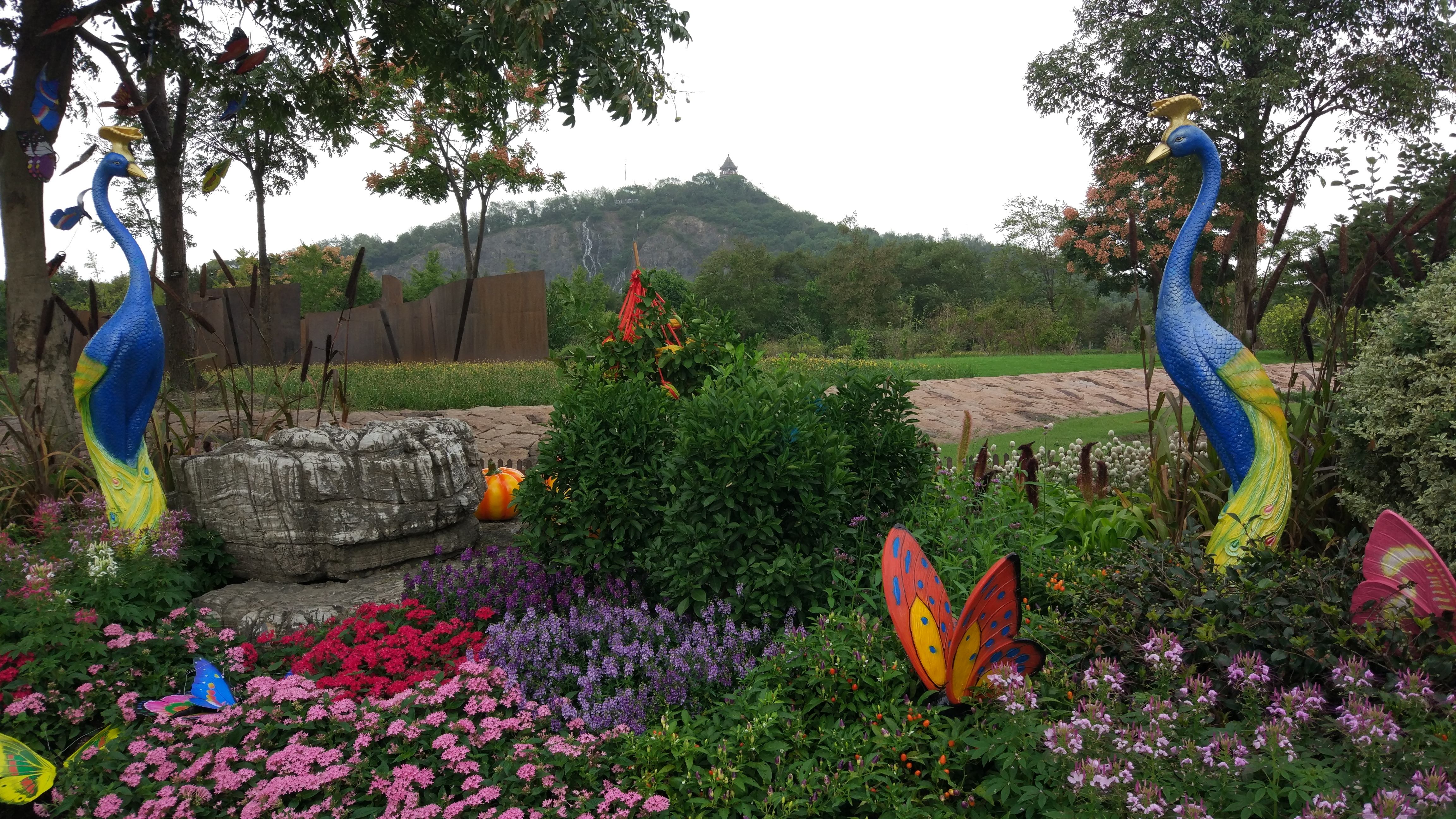 Shanghai_Chenshan_Botanical_Gardens_3.jpg