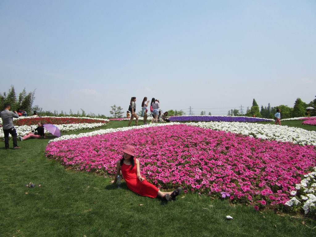 Shanghai_Chenshan_Botanical_Gardens_4.jpg