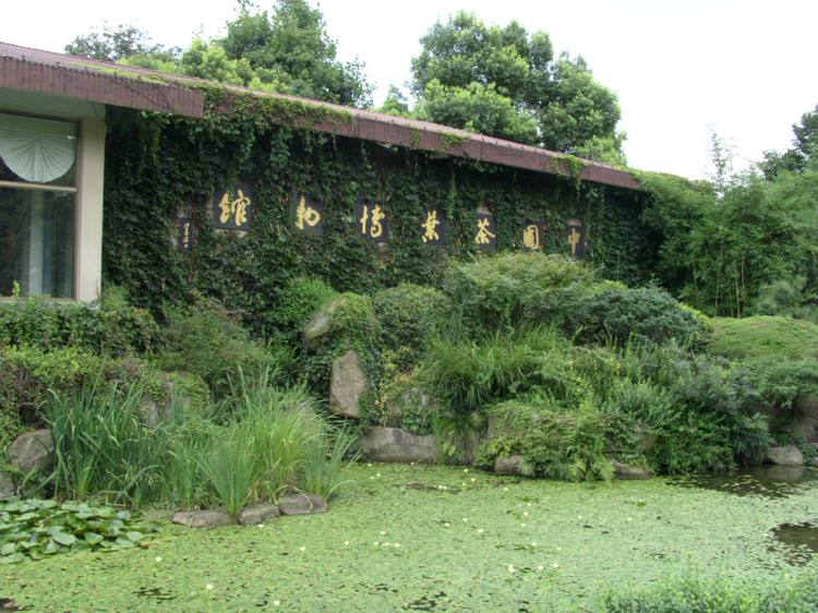 China-National-Tea-Museum