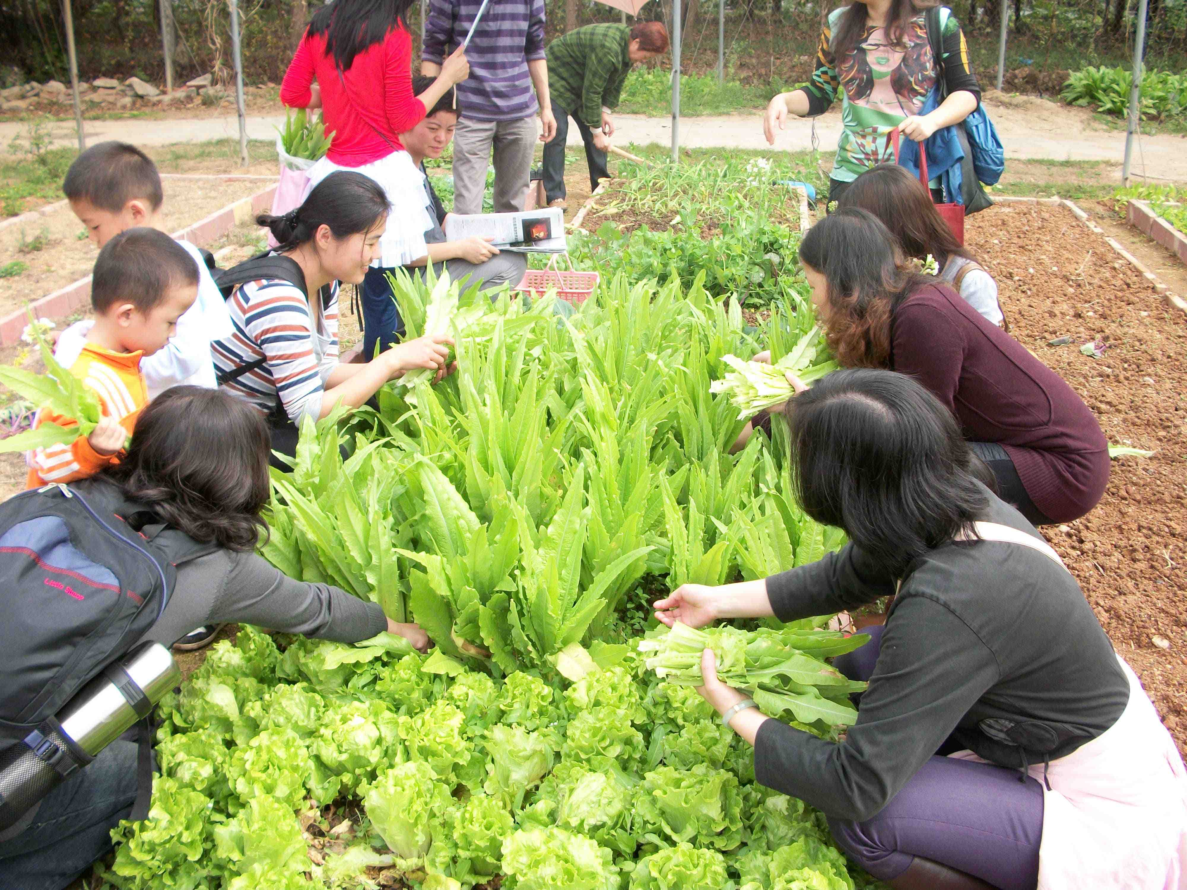 Chongming_Island.jpg