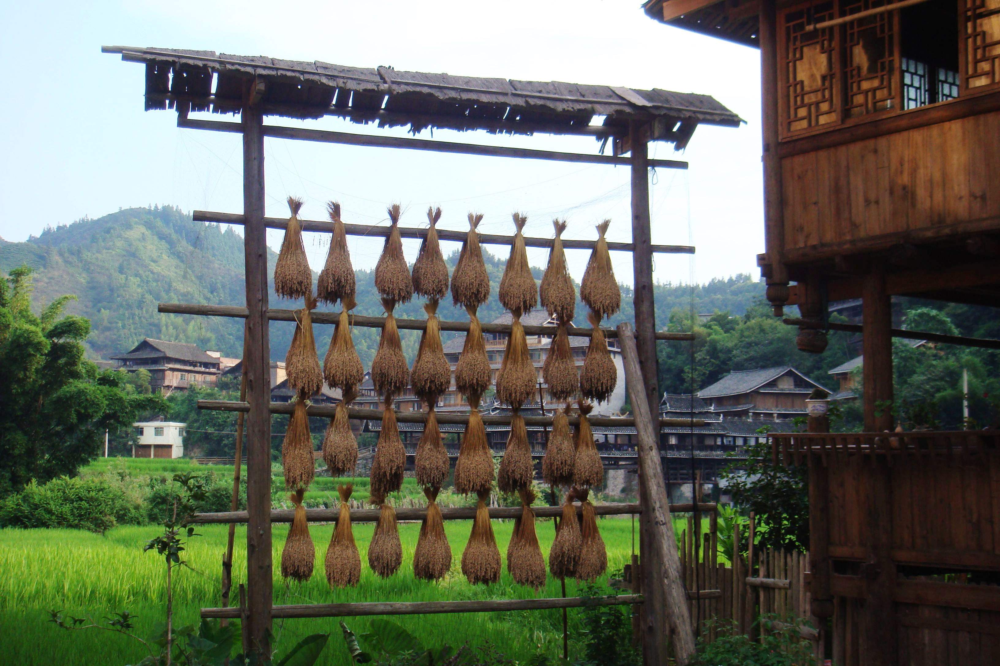 7_Days_Guizhou_Ethnic_Minority_Tour_6.jpg