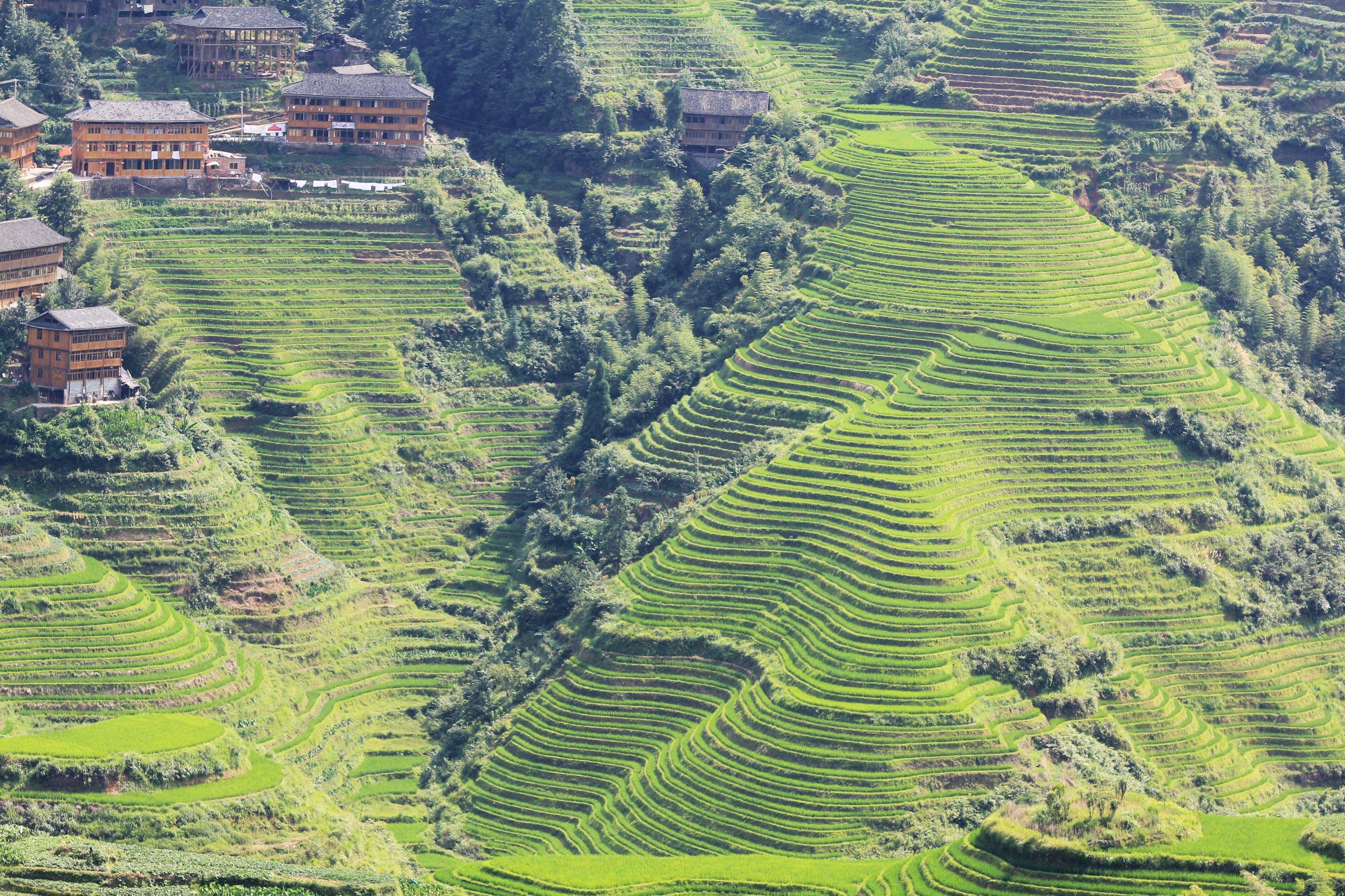 7_Days_Guizhou_Ethnic_Minority_Tour_96.jpg