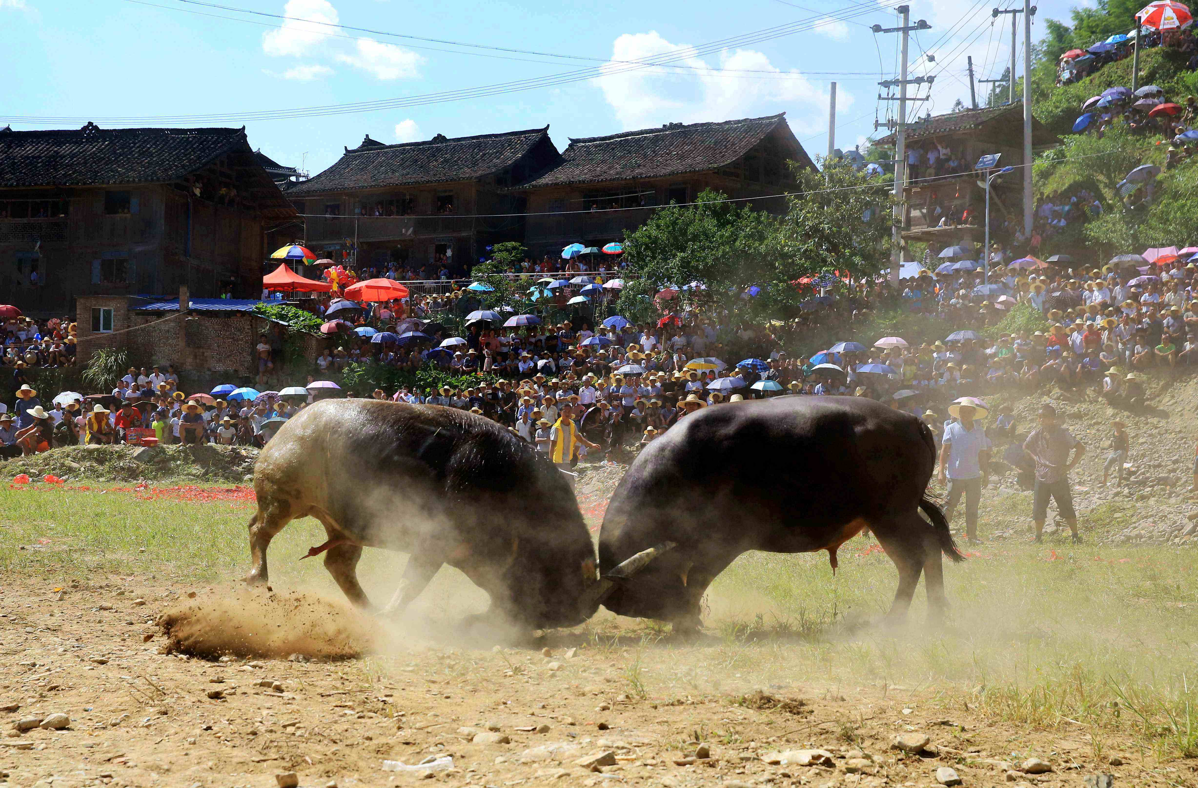 17_Days_Guizhou_Yunnan_Colorful_Minority_Tour_94.jpg