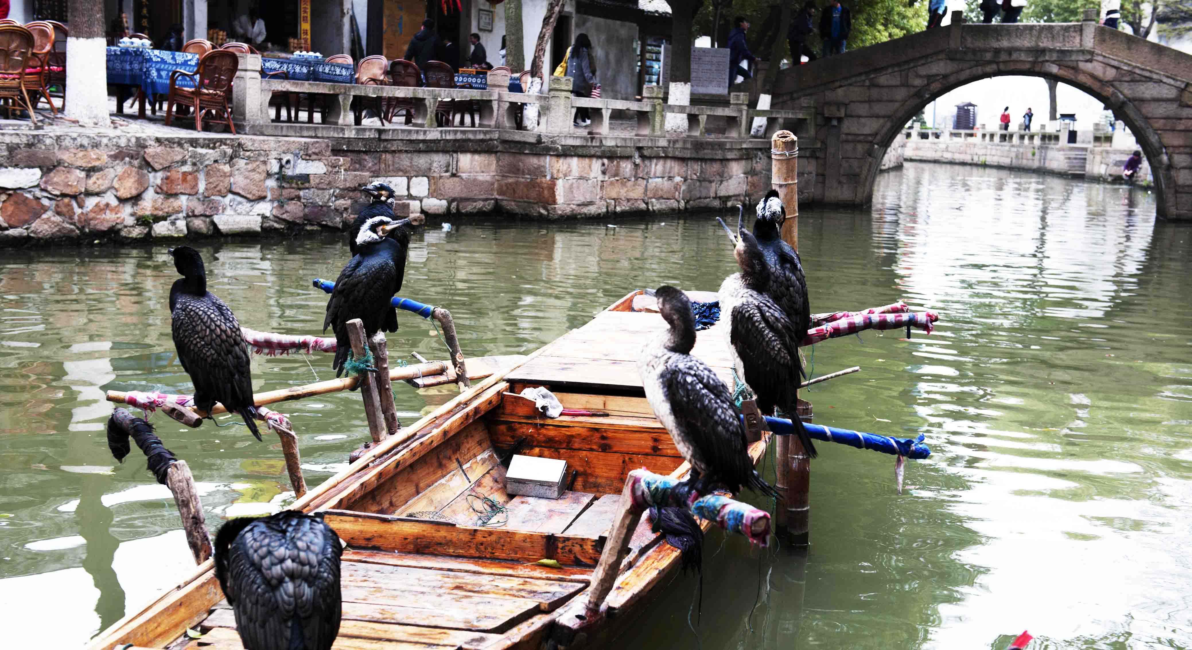 Tongli Water Town