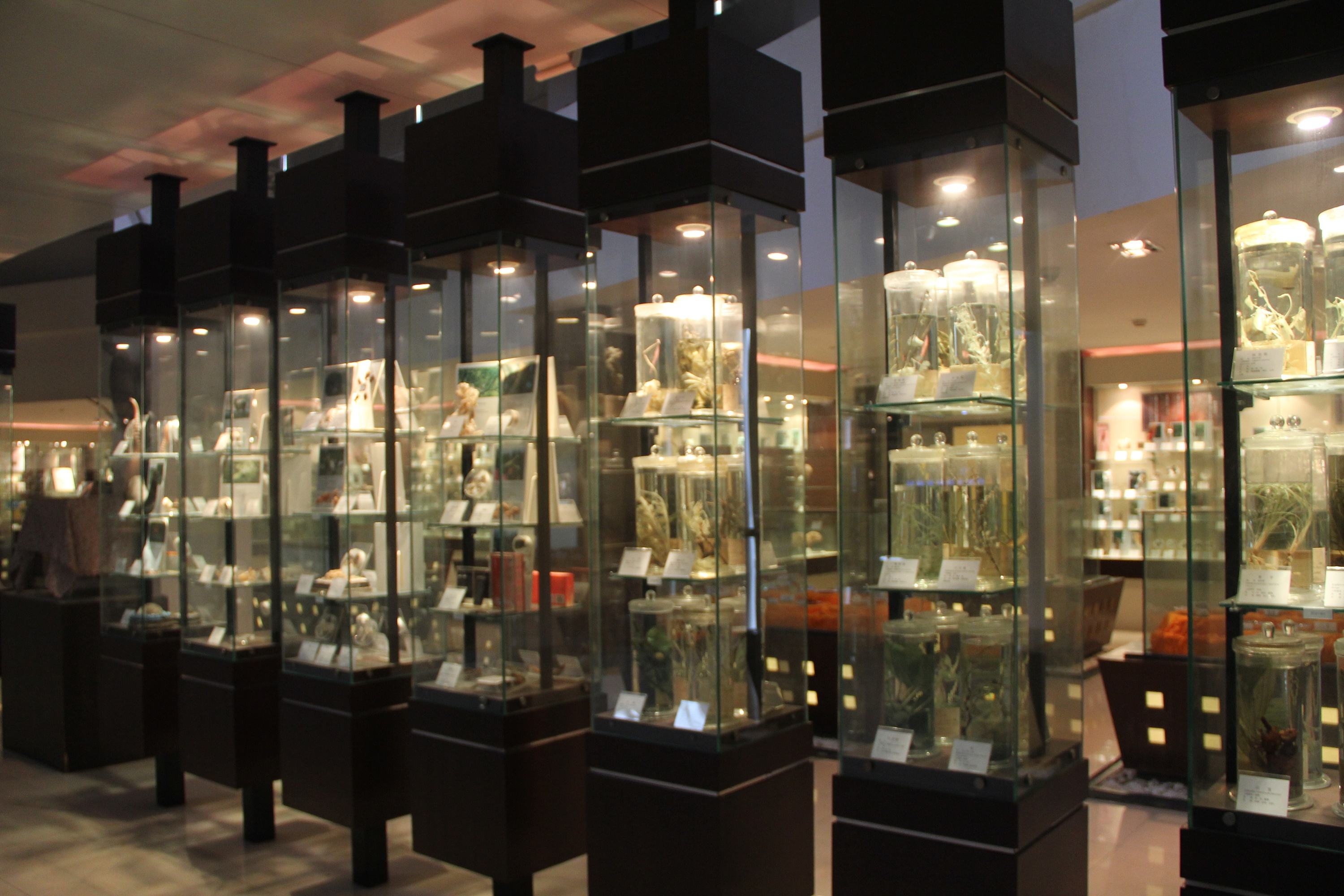 Traditional_Medicine_Museum_2.jpg