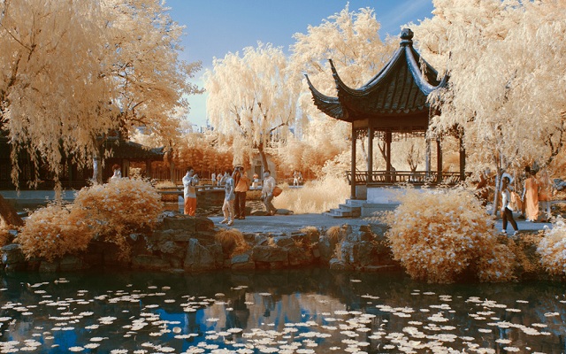 shanghai tour includes Humble Administrator's Garden.jpg