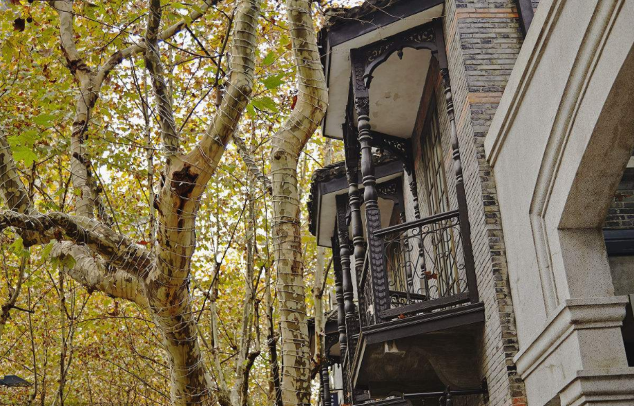 Shanghai tour package includes Old French Concession.jpg