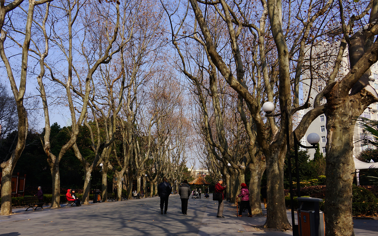 Xiangyang_Park.jpg