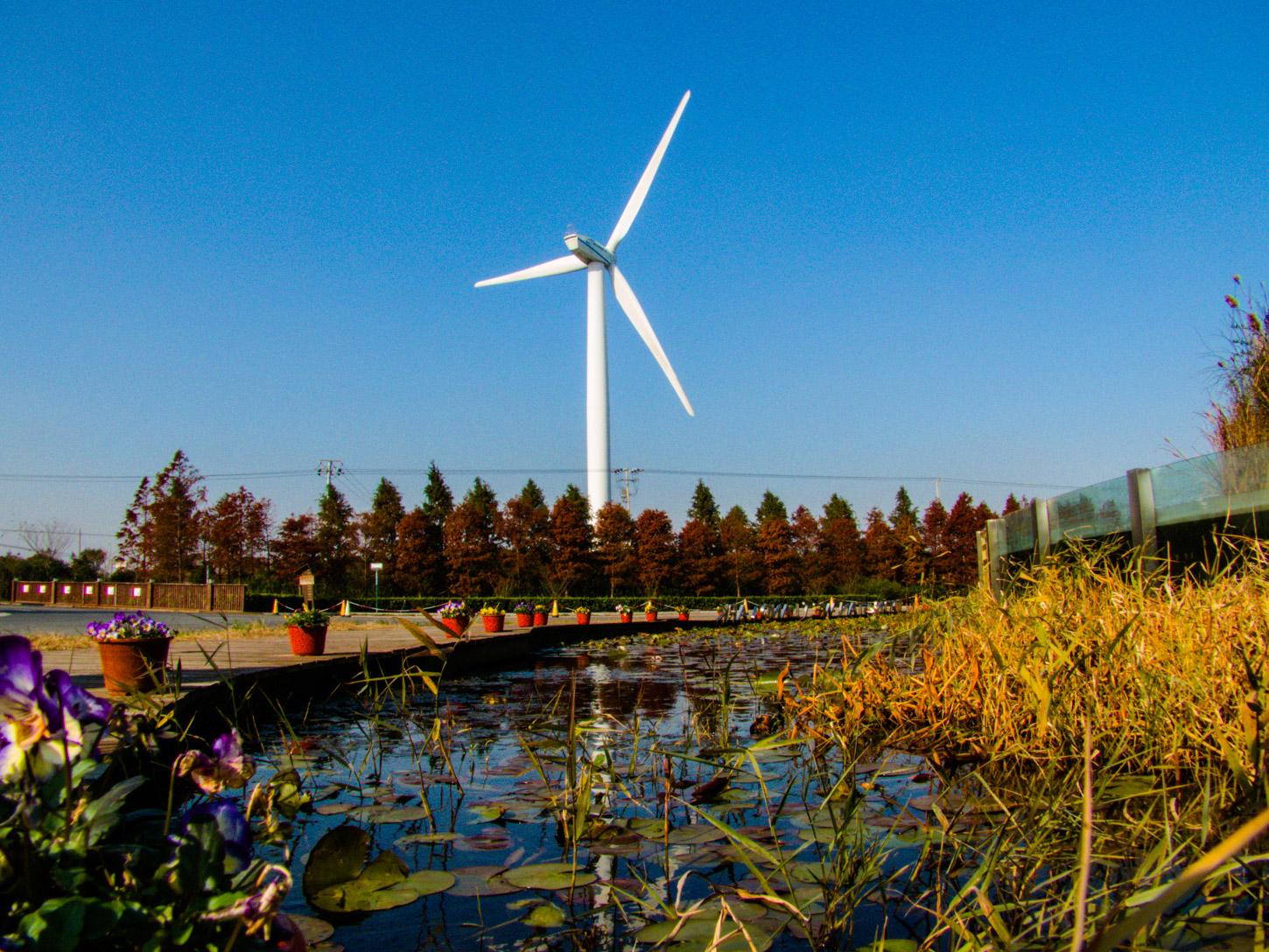 tour of chongming island