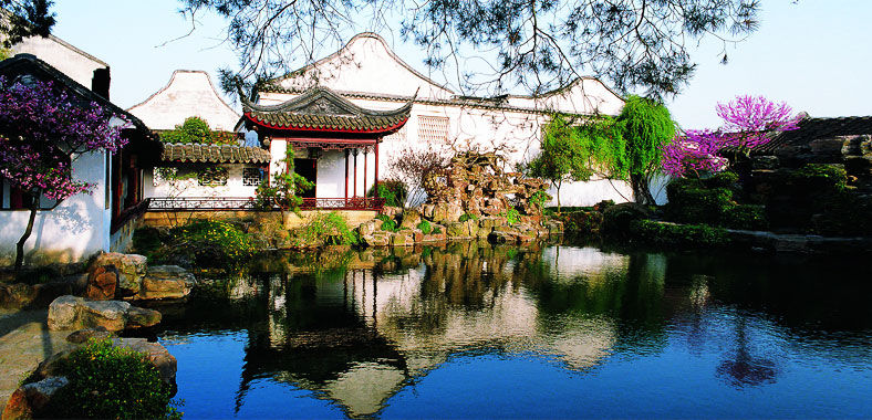 master-of-the-nets-garden-788