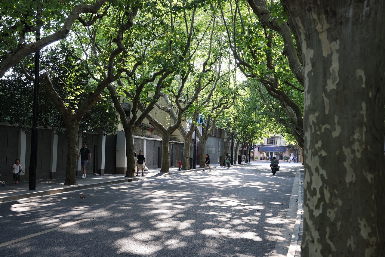 wu-kang-road