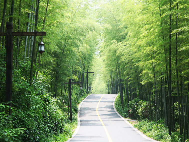 Forest-Oxygen-Bar-Qiandao-Lake