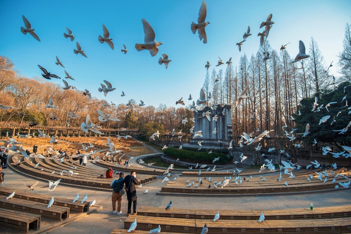 Music-Stage-Nanjing