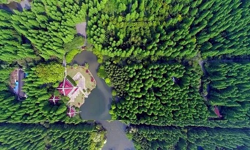 Dongping-National-Forest-Park-Shanghai