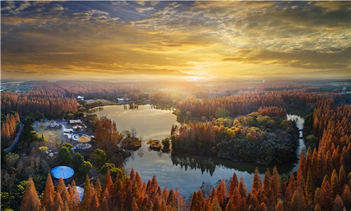Dongping-National-Forest-Park