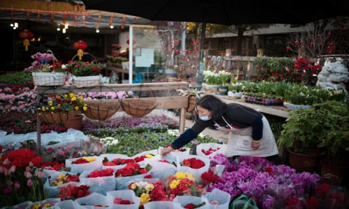 Shanghai-Local-Flower-Market-Experience