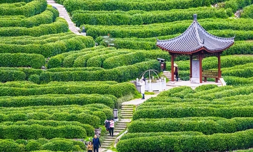 longjing-village