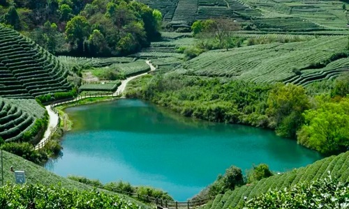 longjing-village-hz