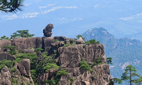 huangshan-monkey-watching-the-sea