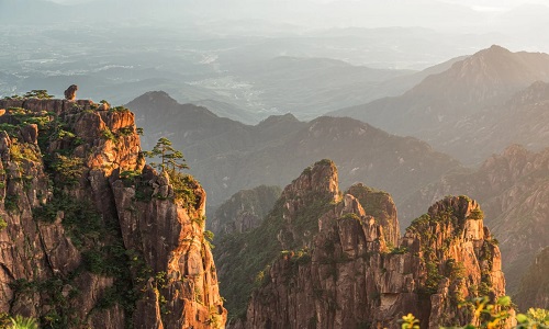 lion-peak
