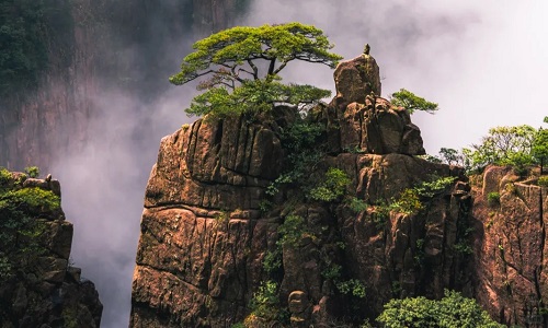 canyon-west-sea