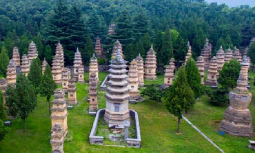 Pagoda-Forest