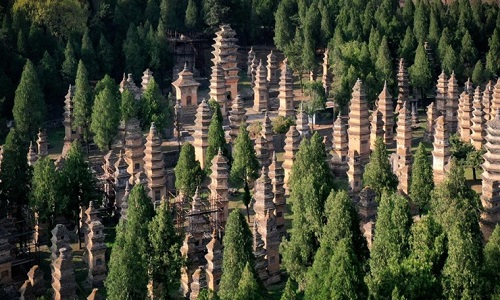 Pagoda-Forest