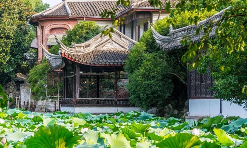 Little-Lotus-Garden