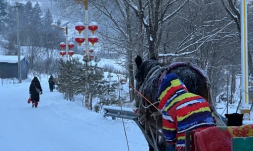 horse-drawn