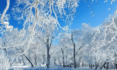 wusong-jilin