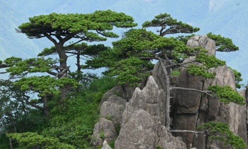 gunagmingding-huangshan